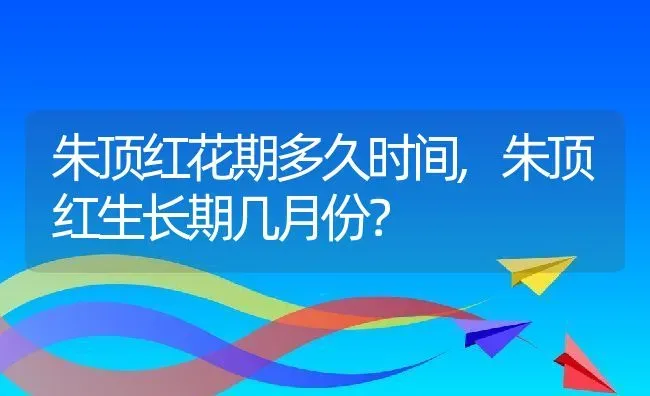 朱顶红花期多久时间,朱顶红生长期几月份？ | 养殖科普