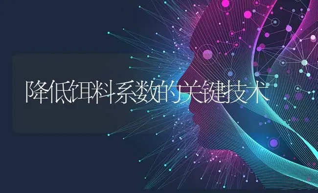 降低饵料系数的关键技术 | 养殖技术大全