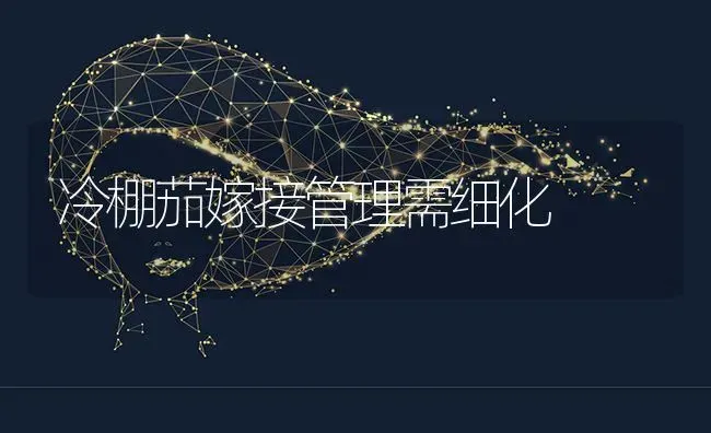 冷棚茄嫁接管理需细化 | 养殖技术大全