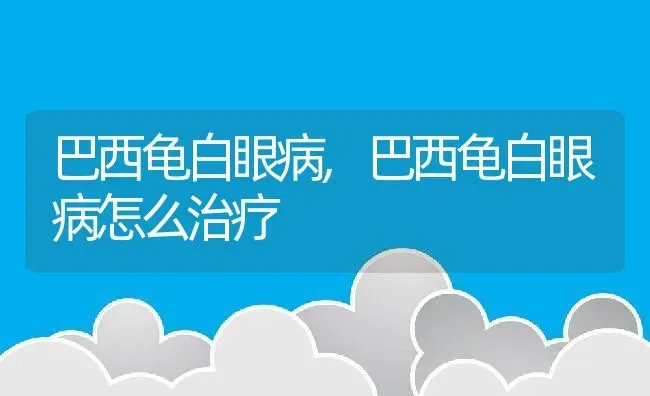 巴西龟白眼病,巴西龟白眼病怎么治疗 | 养殖资料