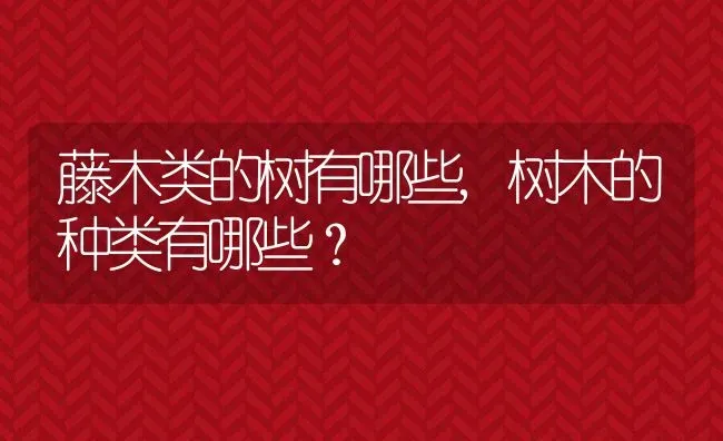 藤木类的树有哪些,树木的种类有哪些？ | 养殖科普