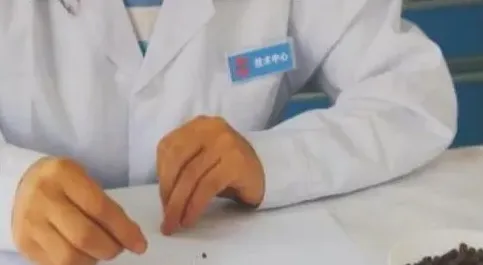 生物有机肥真假辨别 五招教您鉴别真假生物有机肥 | 三农知识