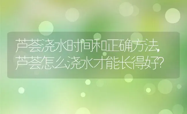 芦荟浇水时间和正确方法,芦荟怎么浇水才能长得好？ | 养殖科普