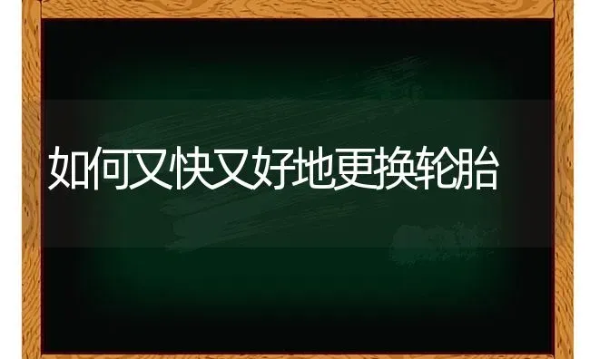 如何又快又好地更换轮胎 | 养殖知识
