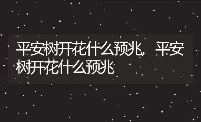 平安树开花什么预兆,平安树开花什么预兆 | 养殖科普