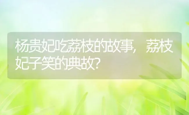 杨贵妃吃荔枝的故事,荔枝妃子笑的典故？ | 养殖科普