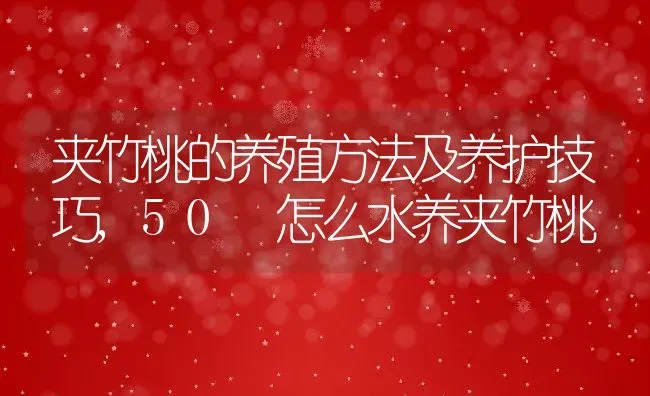 夹竹桃的养殖方法及养护技巧,50 怎么水养夹竹桃 | 养殖学堂