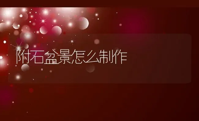 附石盆景怎么制作 | 养殖学堂