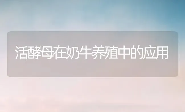 活酵母在奶牛养殖中的应用 | 养殖技术大全