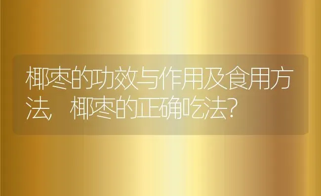 椰枣的功效与作用及食用方法,椰枣的正确吃法？ | 养殖科普