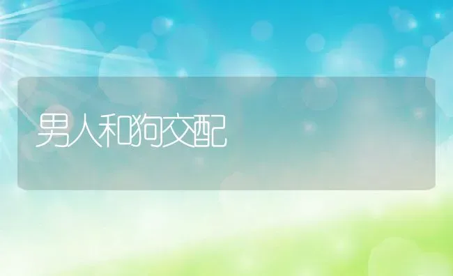 男人和狗交配 | 养殖科普