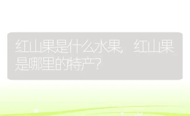 红山果是什么水果,红山果是哪里的特产？ | 养殖科普