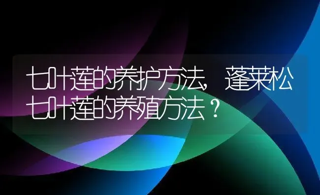 七叶莲的养护方法,蓬莱松七叶莲的养殖方法？ | 养殖科普