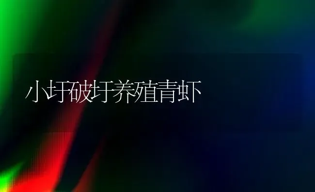 小圩破圩养殖青虾 | 养殖技术大全