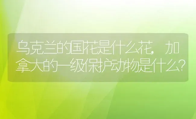 乌克兰的国花是什么花,加拿大的一级保护动物是什么？ | 养殖科普