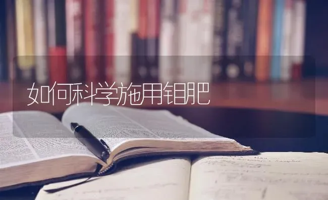 如何科学施用钼肥 | 养殖知识