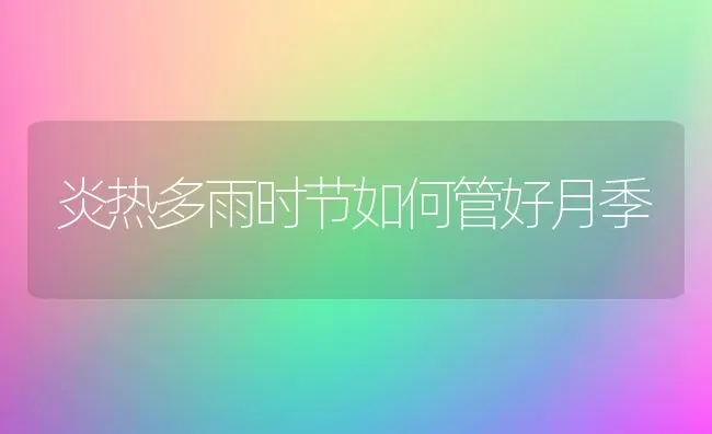 炎热多雨时节如何管好月季 | 养殖知识