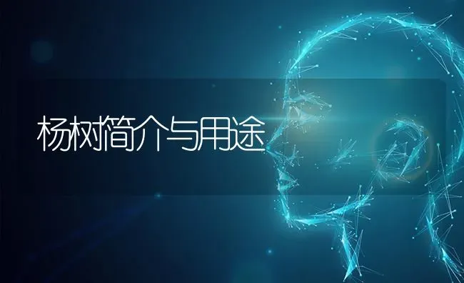 杨树简介与用途 | 养殖技术大全