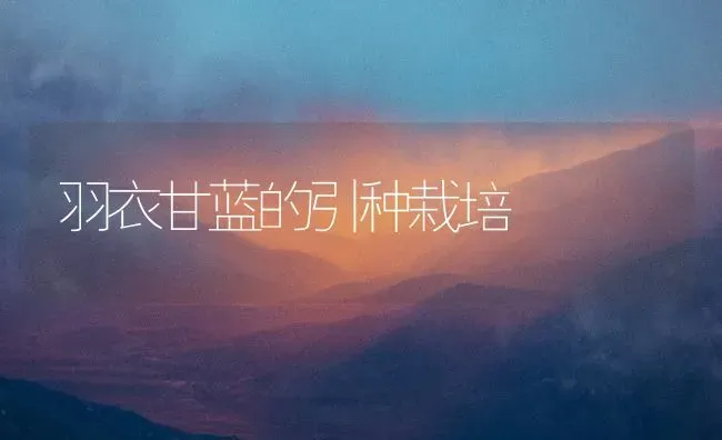 羽衣甘蓝的引种栽培 | 养殖技术大全