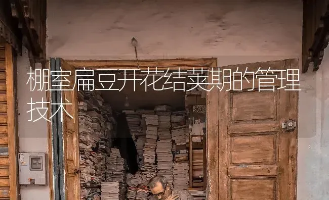 棚室扁豆开花结荚期的管理技术 | 养殖技术大全