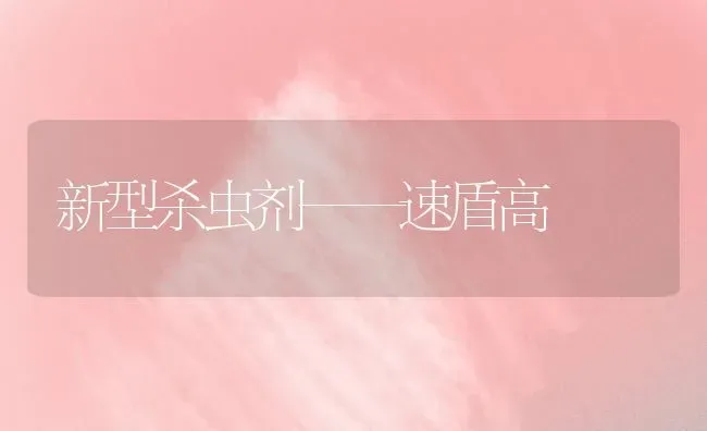 新型杀虫剂——速盾高 | 养殖知识