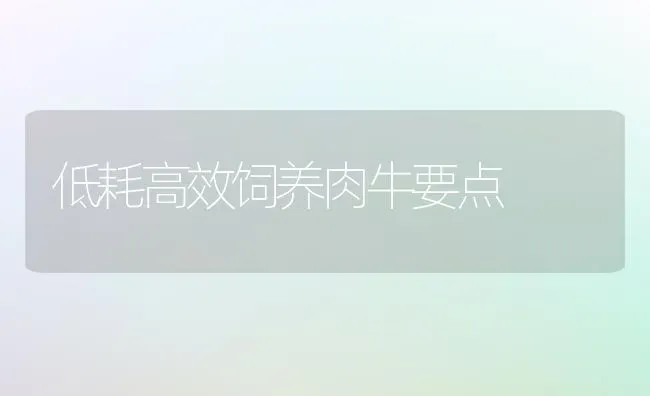 低耗高效饲养肉牛要点 | 养殖技术大全