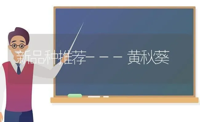 新品种推荐---黄秋葵 | 养殖技术大全