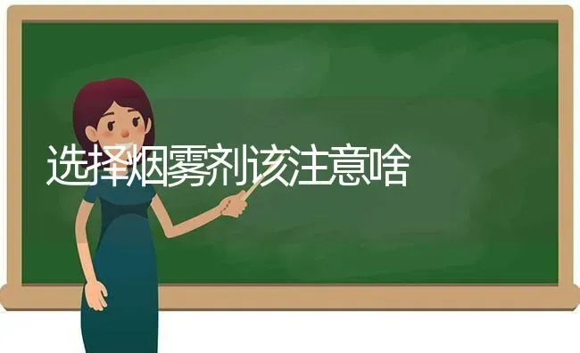 选择烟雾剂该注意啥 | 养殖技术大全