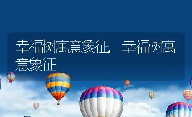 氯霉素的副作用,氯霉素的副作用与禁忌 | 养殖科普