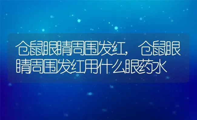 仓鼠眼睛周围发红,仓鼠眼睛周围发红用什么眼药水 | 养殖学堂