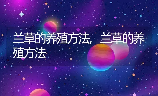 兰草的养殖方法,兰草的养殖方法 | 养殖科普