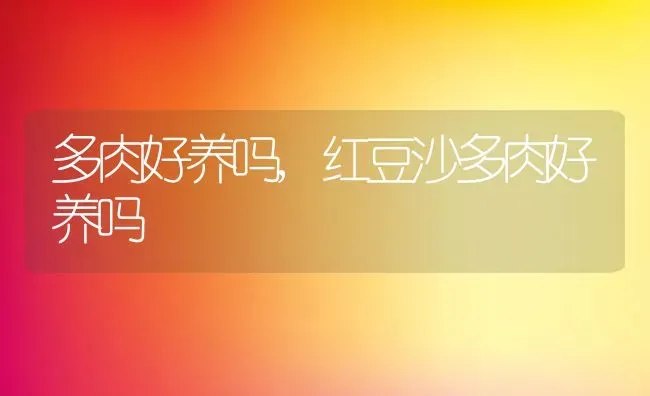 多肉好养吗,红豆沙多肉好养吗 | 养殖学堂