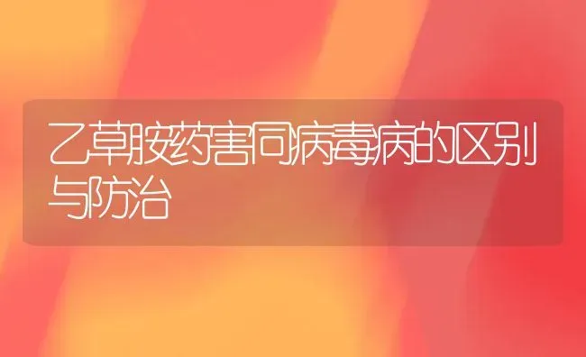 乙草胺药害同病毒病的区别与防治 | 养殖知识