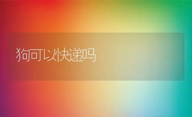 狗可以快递吗 | 养殖科普