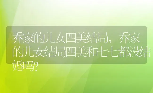 乔家的儿女四美结局,乔家的儿女结局四美和七七都没结婚吗？ | 养殖科普