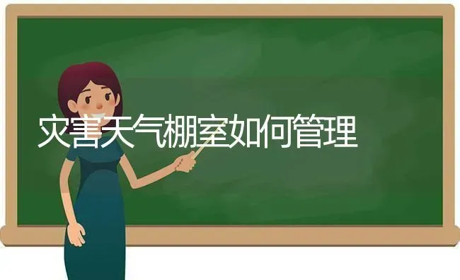 灾害天气棚室如何管理 | 养殖技术大全