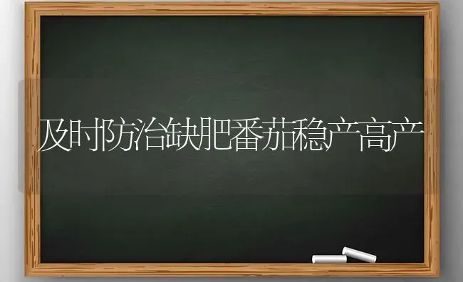 及时防治缺肥番茄稳产高产 | 养殖知识