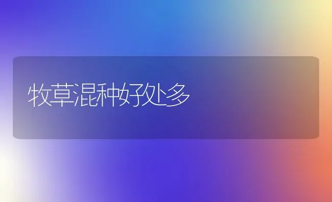 牧草混种好处多 | 养殖知识