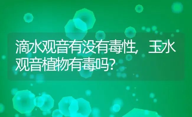 滴水观音有没有毒性,玉水观音植物有毒吗？ | 养殖科普