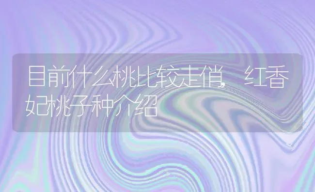 目前什么桃比较走俏,红香妃桃子种介绍 | 养殖学堂
