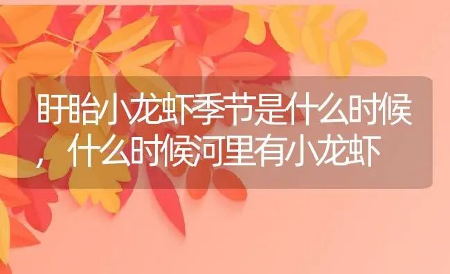 盱眙小龙虾季节是什么时候,什么时候河里有小龙虾 | 养殖学堂