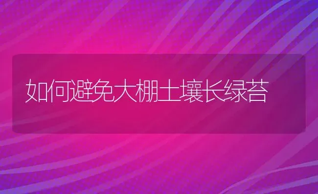 如何避免大棚土壤长绿苔 | 养殖技术大全