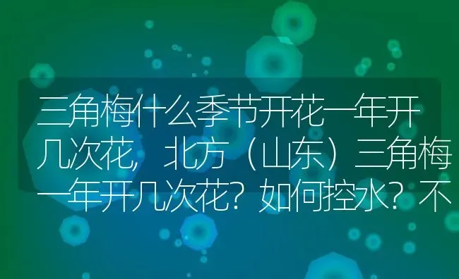 三角梅什么季节开花一年开几次花,北方（山东）三角梅一年开几次花？如何控水？不要复制的？ | 养殖科普