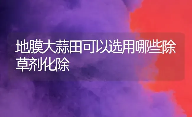 地膜大蒜田可以选用哪些除草剂化除 | 养殖知识