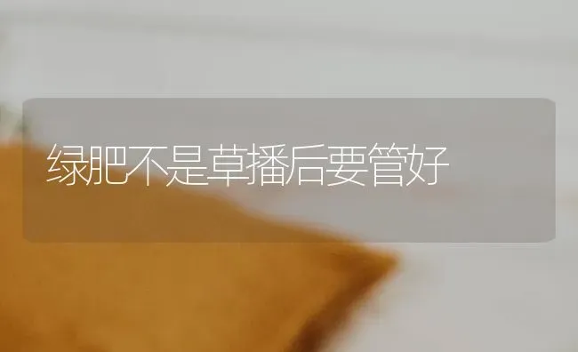 绿肥不是草播后要管好 | 养殖知识