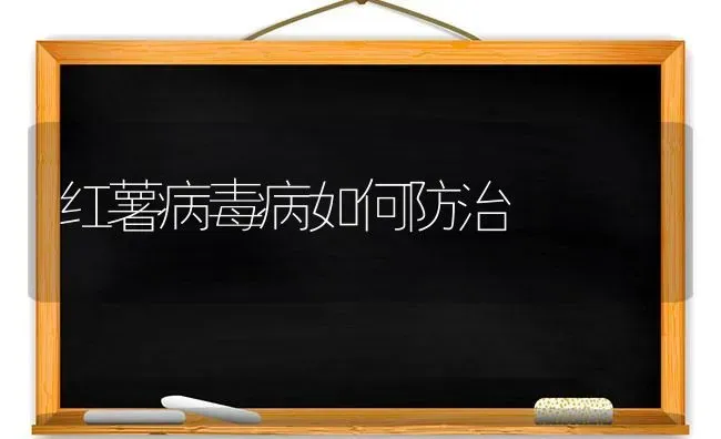 红薯病毒病如何防治 | 养殖技术大全