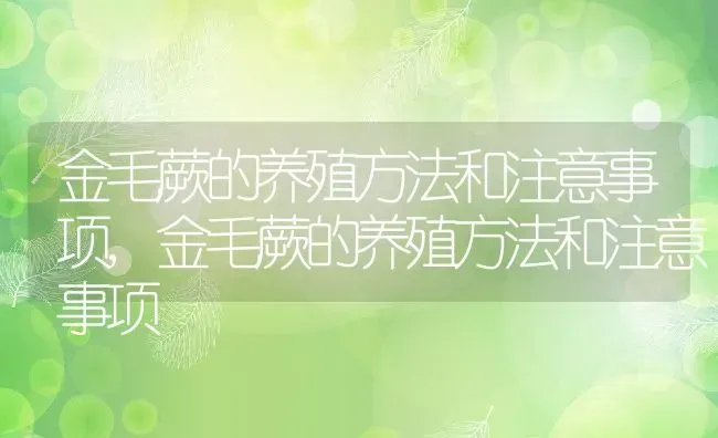 金毛蕨的养殖方法和注意事项,金毛蕨的养殖方法和注意事项 | 养殖科普