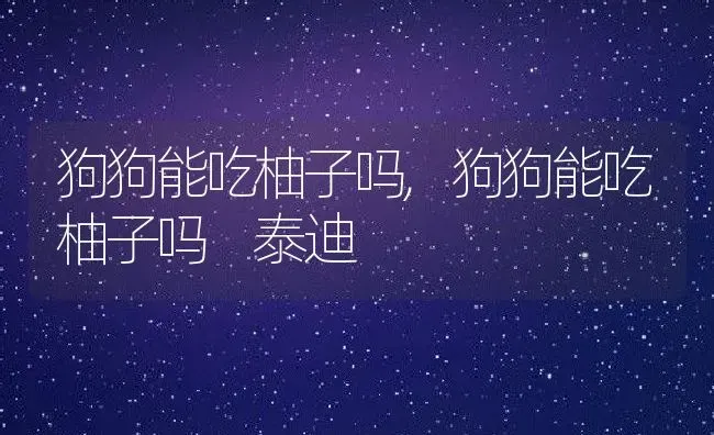 狗狗能吃柚子吗,狗狗能吃柚子吗 泰迪 | 养殖资料