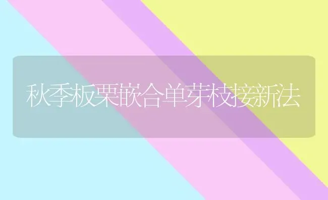 秋季板栗嵌合单芽枝接新法 | 养殖技术大全