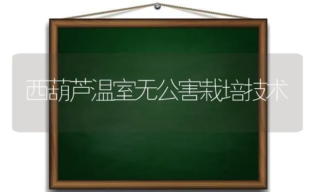 西葫芦温室无公害栽培技术 | 养殖知识